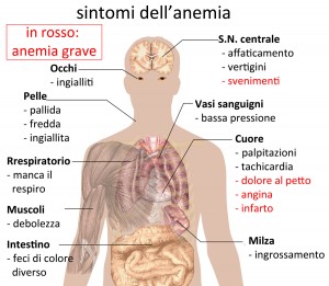 Sintomi dell'anemia