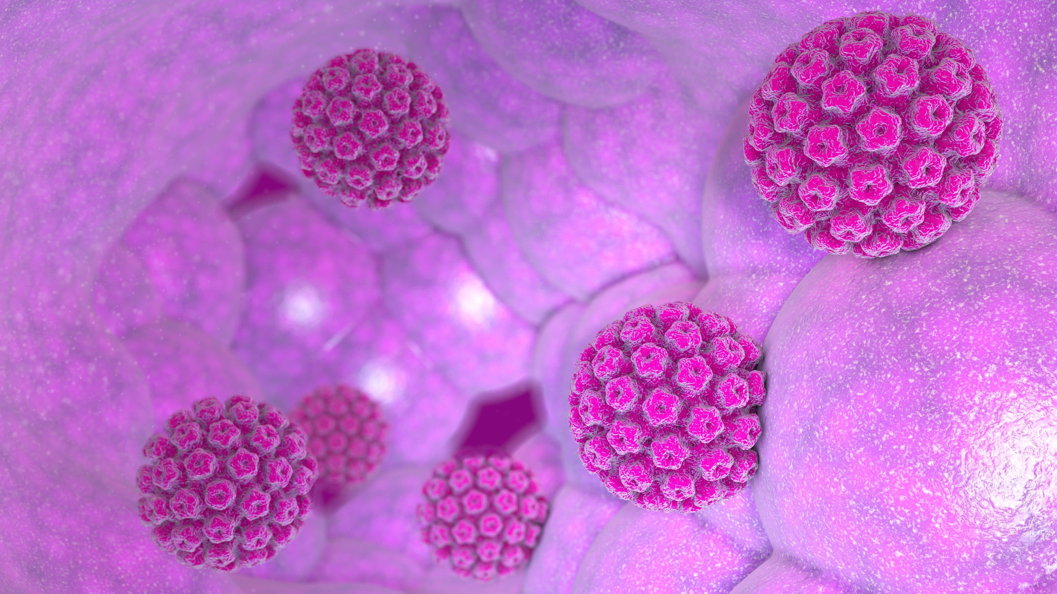 Papilloma virus uomo come si diagnostica. Giardia nell uomo sintomi,