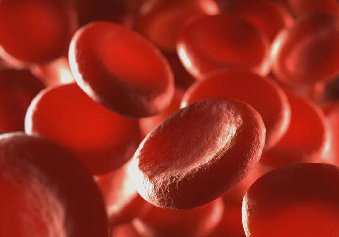 emocromo: immagine all'interno di una provetta di sangue in 3D